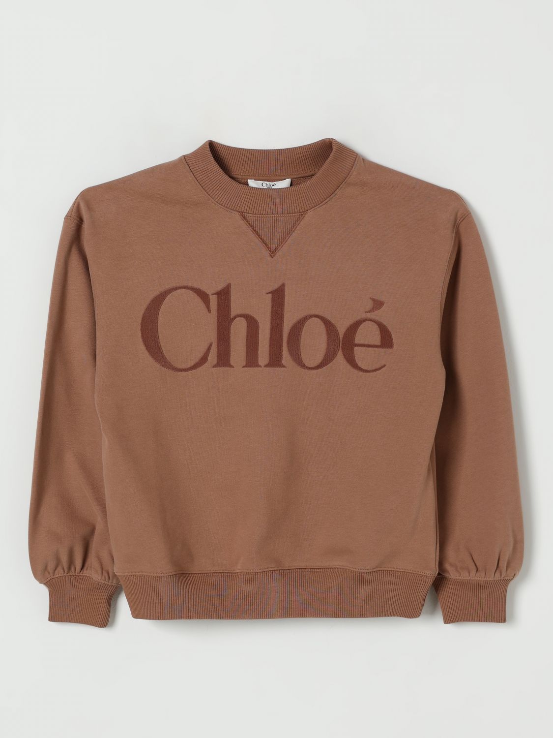 Chloé Swimsuit Kids Color Brown In Brown