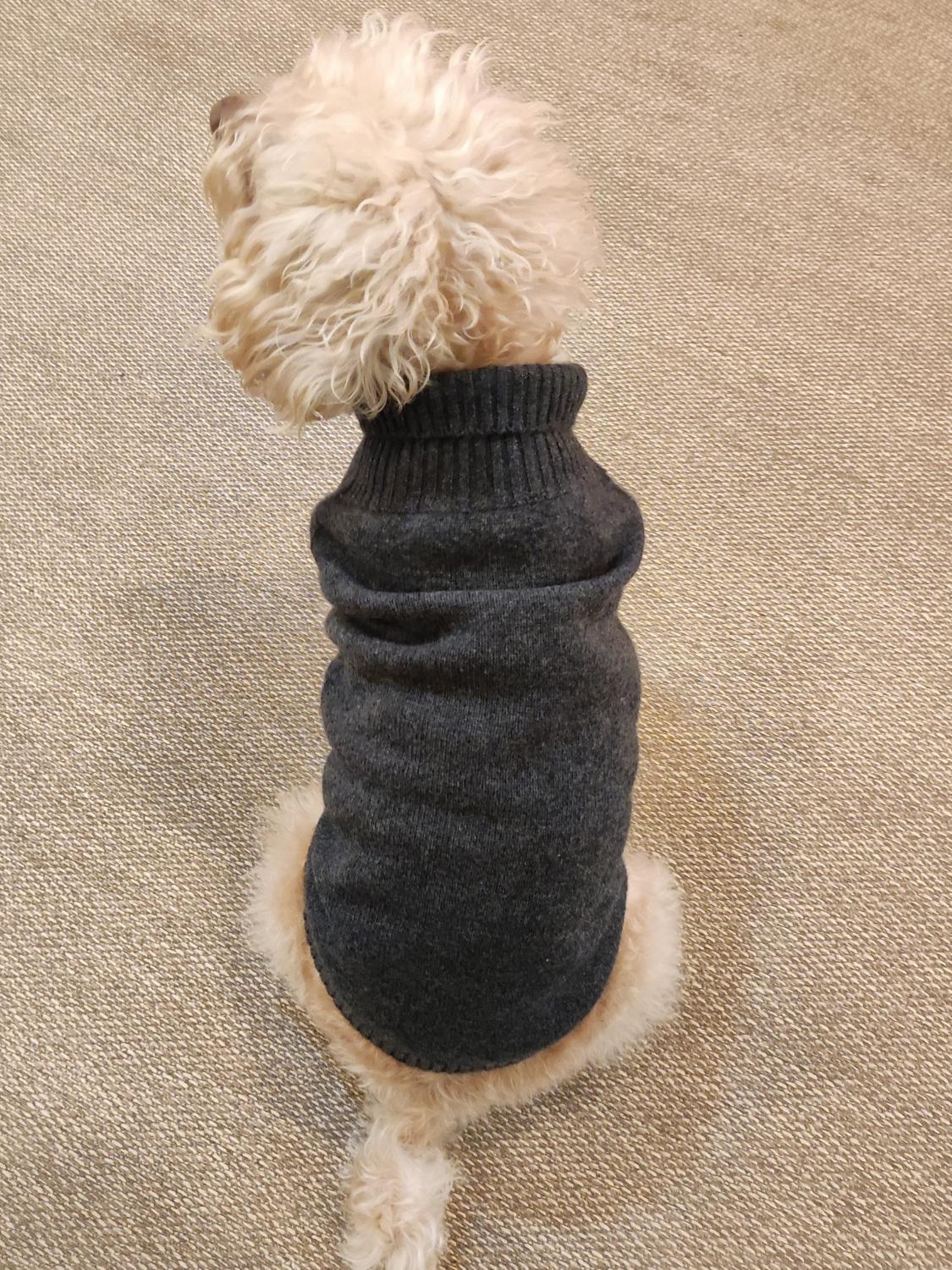  Bobbin & Tricot Bobbin & Tricot Cashmere Pet Pullover 