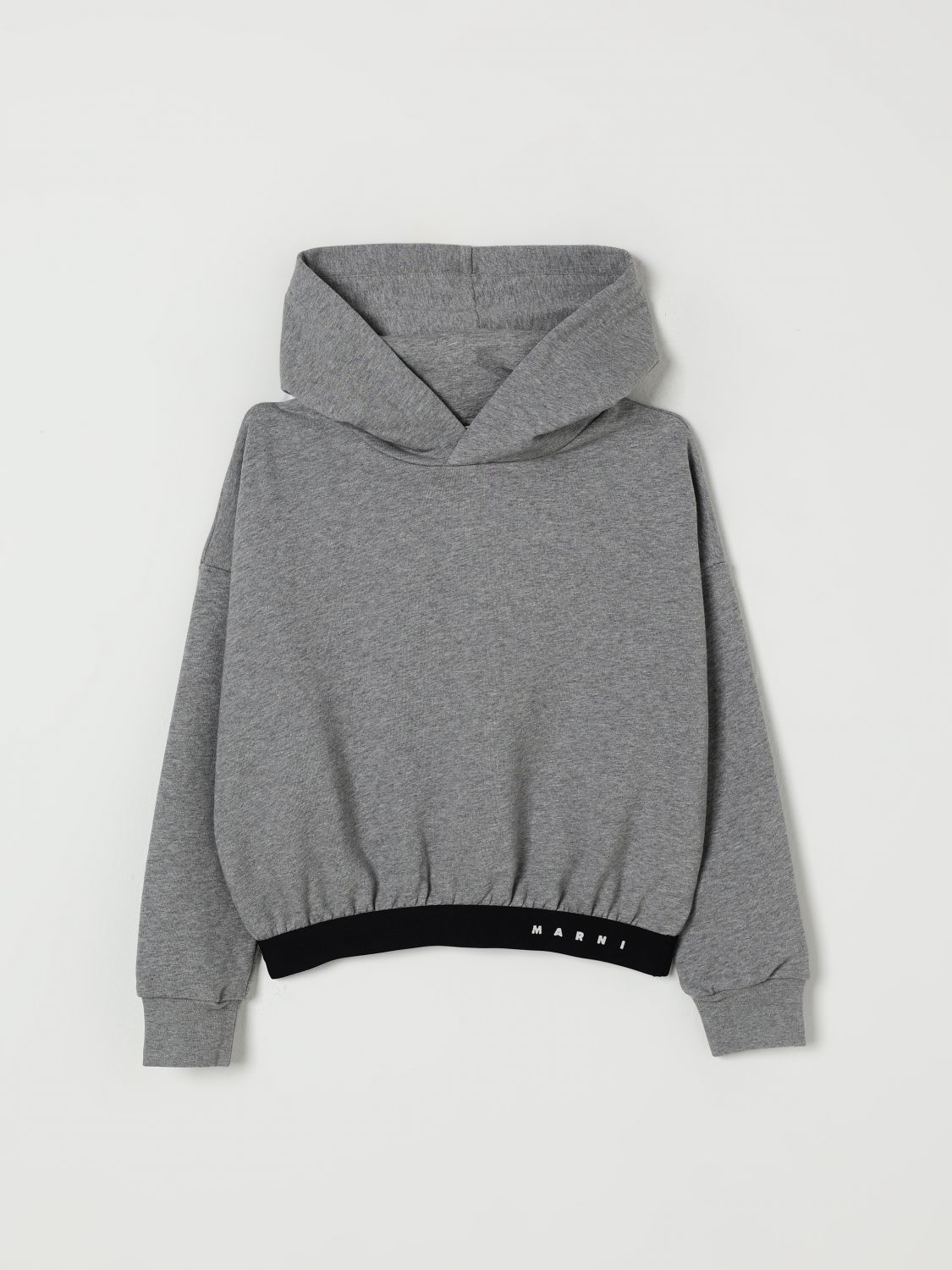 Marni Cotton Hoodie In Gray