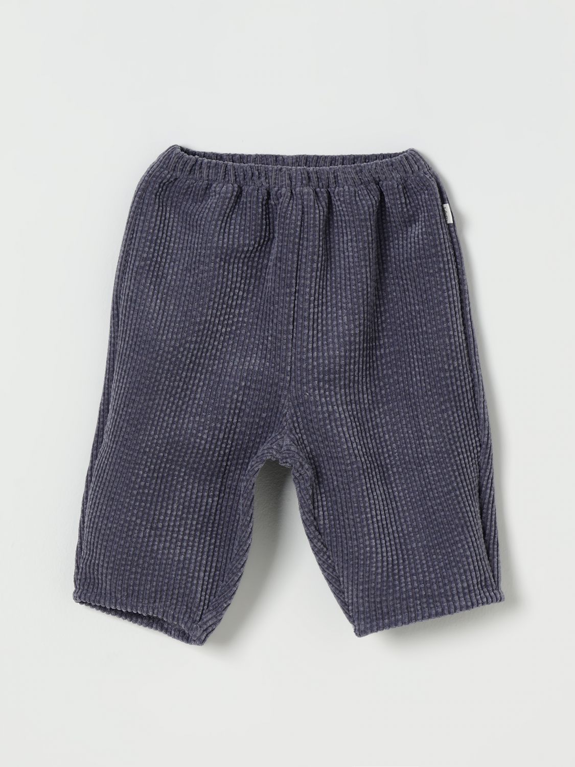 Teddy & Minou Pants Kids Color Grey In Gray