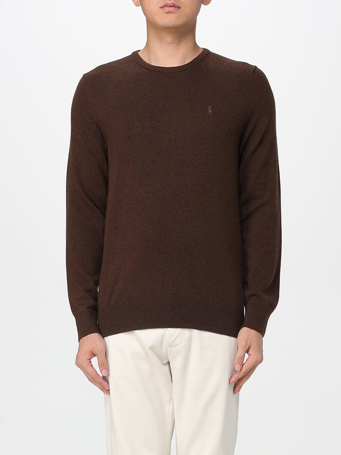 Polo Ralph Lauren Sweater in Brown