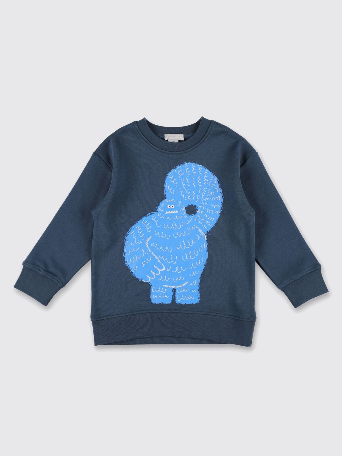 Stella Mccartney Kids Graphic Printed Crewneck Sweatshirt In Blue