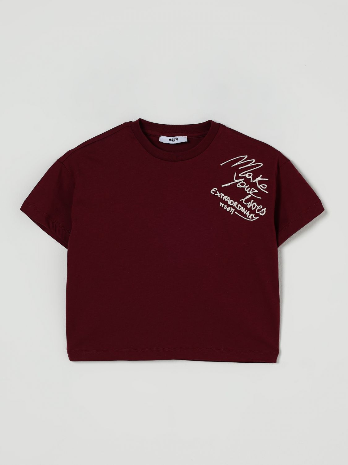 Msgm T-shirt Kids Kids Color Brown In Red