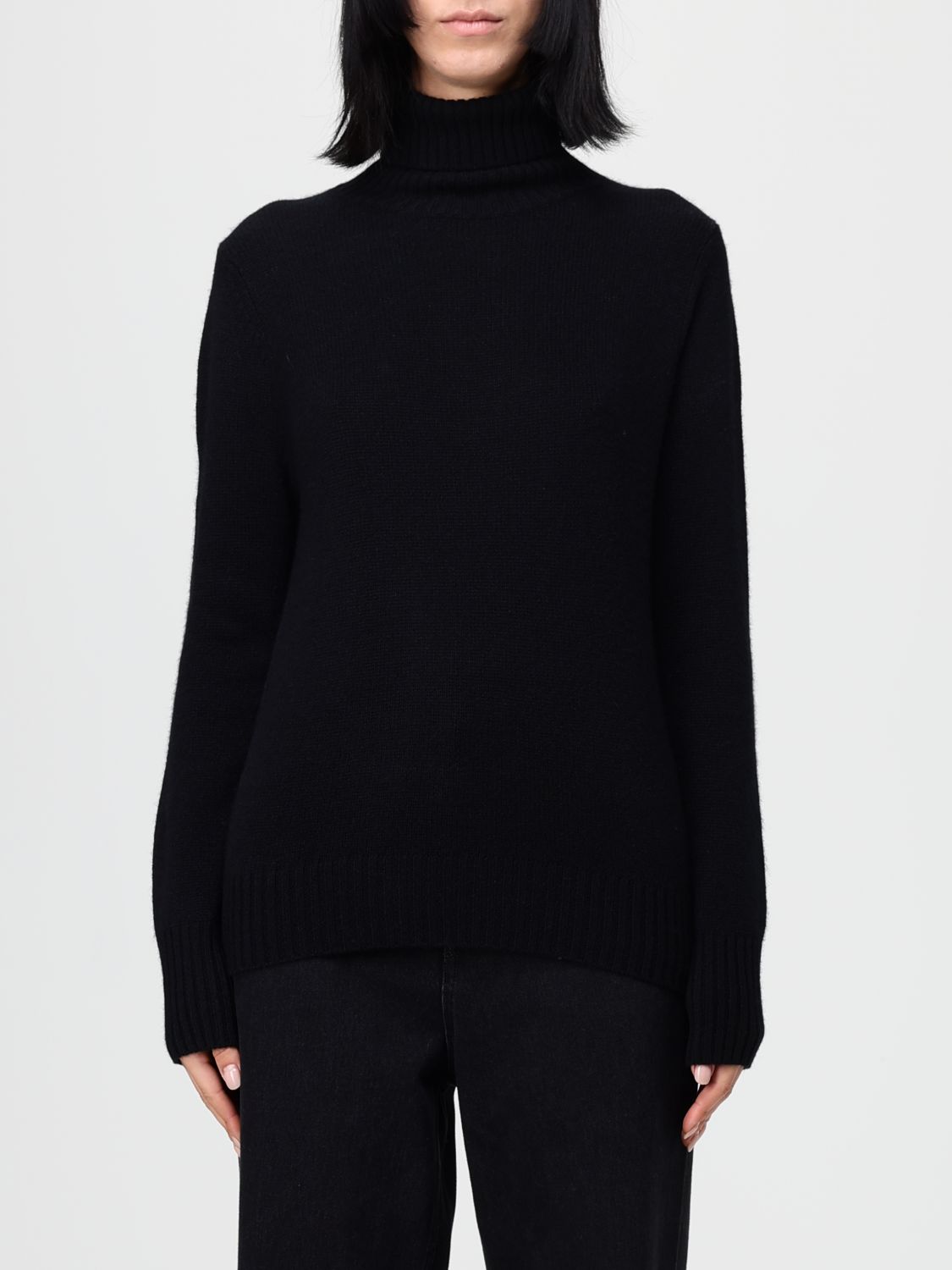 Allude High-neck Sweater In Black