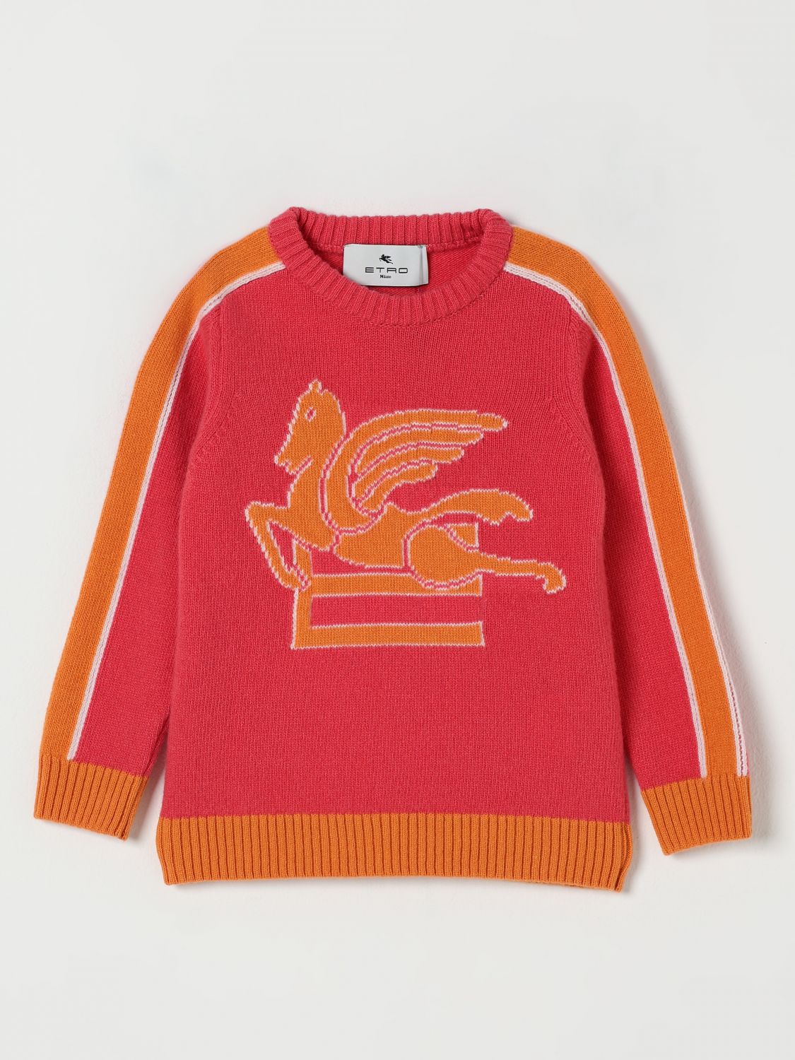 Etro Sweater Kids Color Pink In Brown