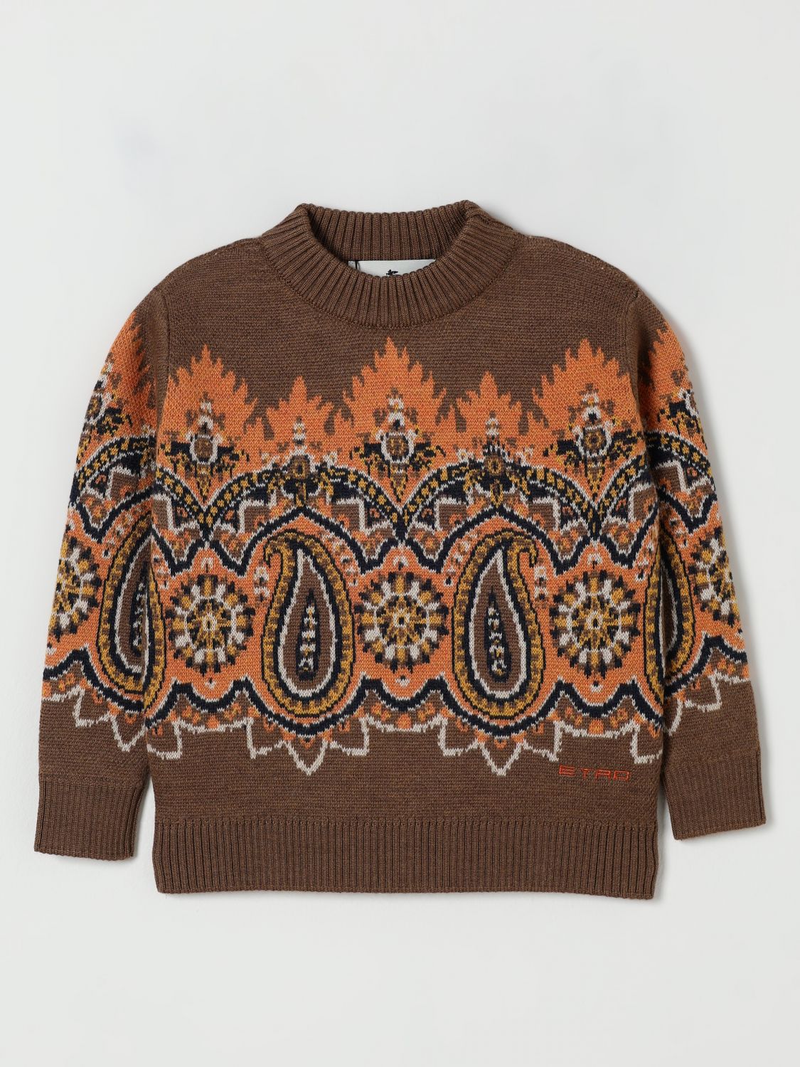 Etro Paisley Jacquard Sweater In Animal Print