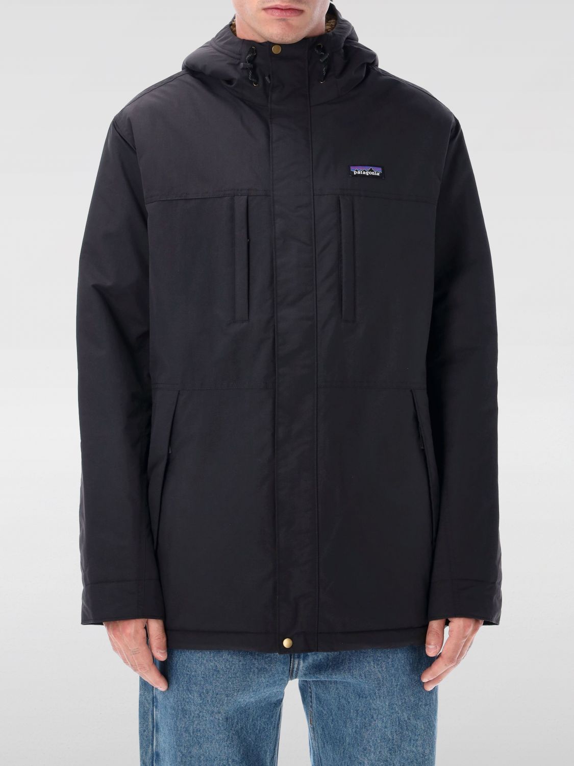 Patagonia Isthmus Hooded Parka In Black