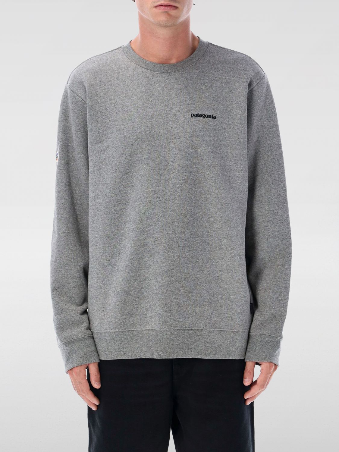 Patagonia Fitz Roy Icon Crew-neck Sweatshirt In Gray