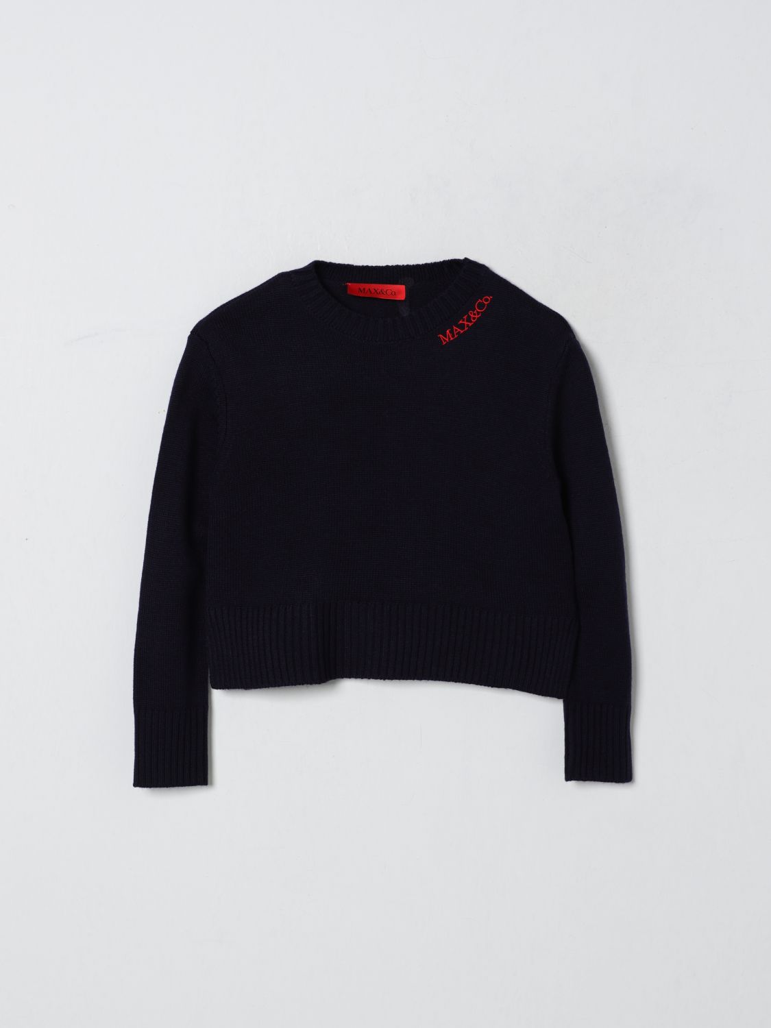 Max & Co. Kid Sweater  Kids Color Blue In Black