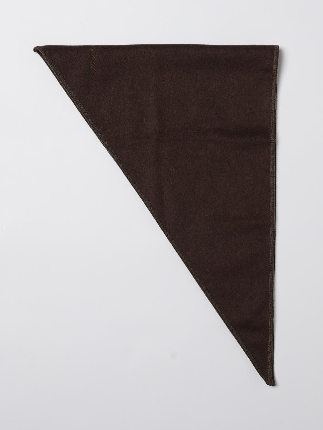 Jacquemus Scarf Woman In Brown