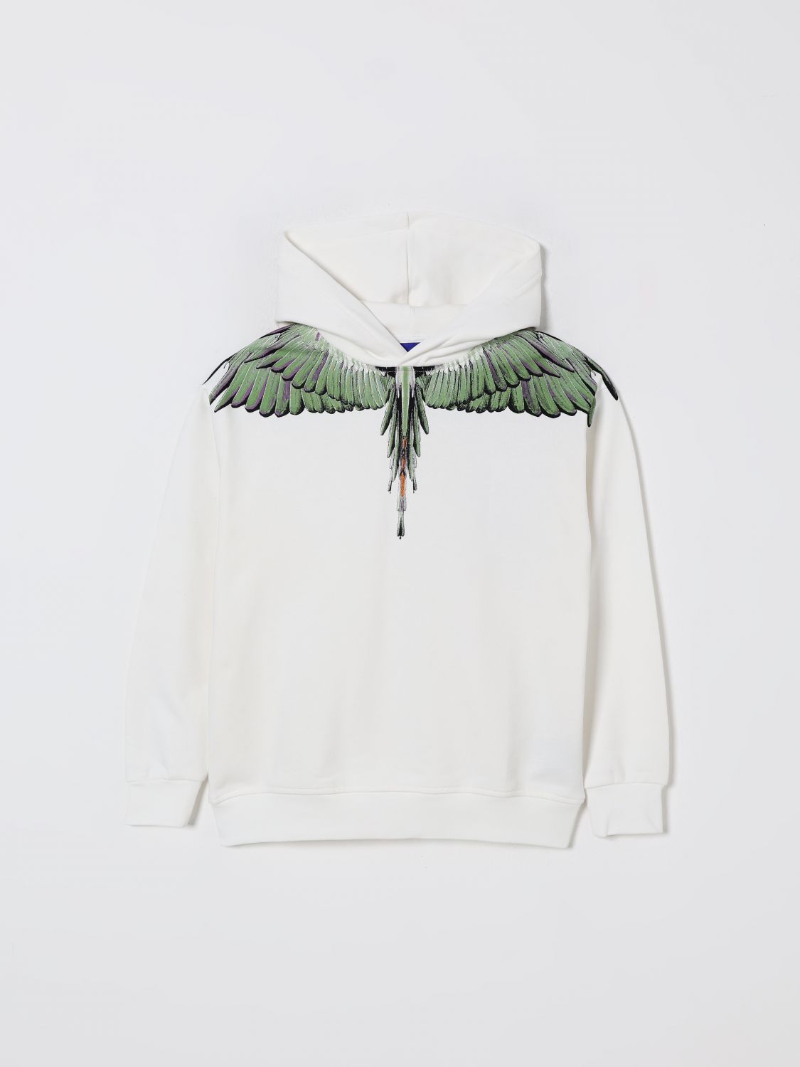 Marcelo Burlon County Of Milan Wing-print Hoodie In Green
