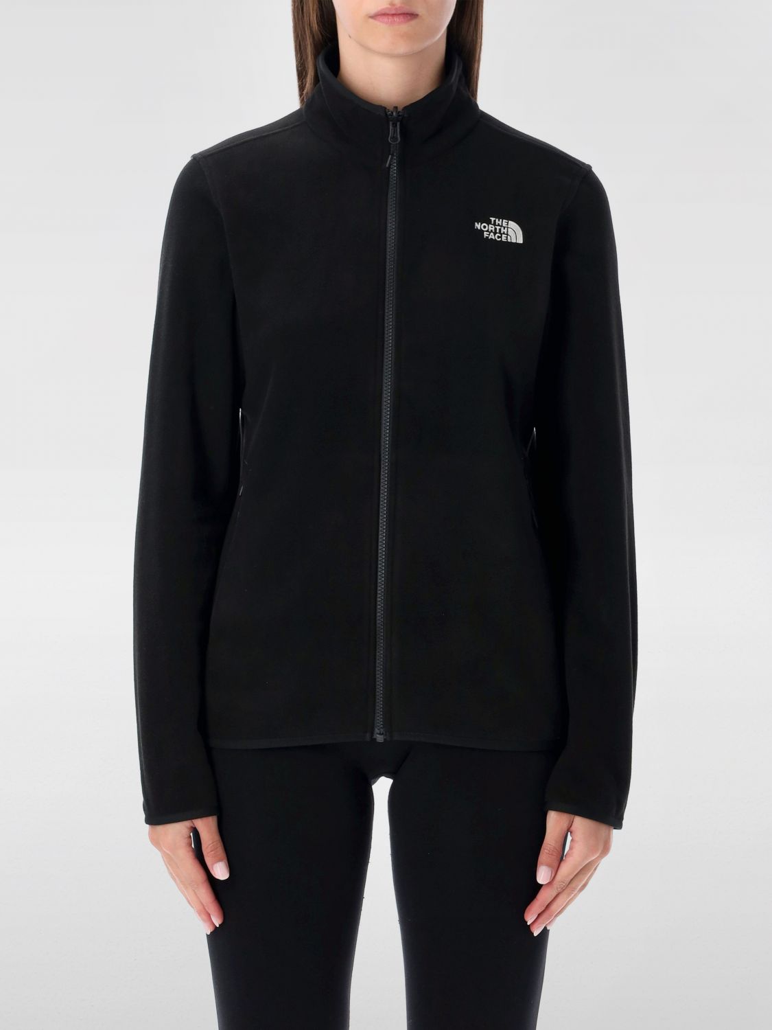 The North Face Glacier Full-zip Fleece In Black