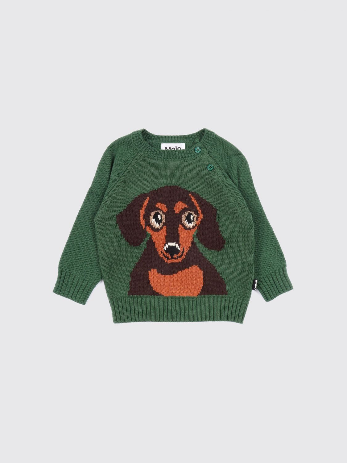 MOLO Pullover Kinder Farbe Grün