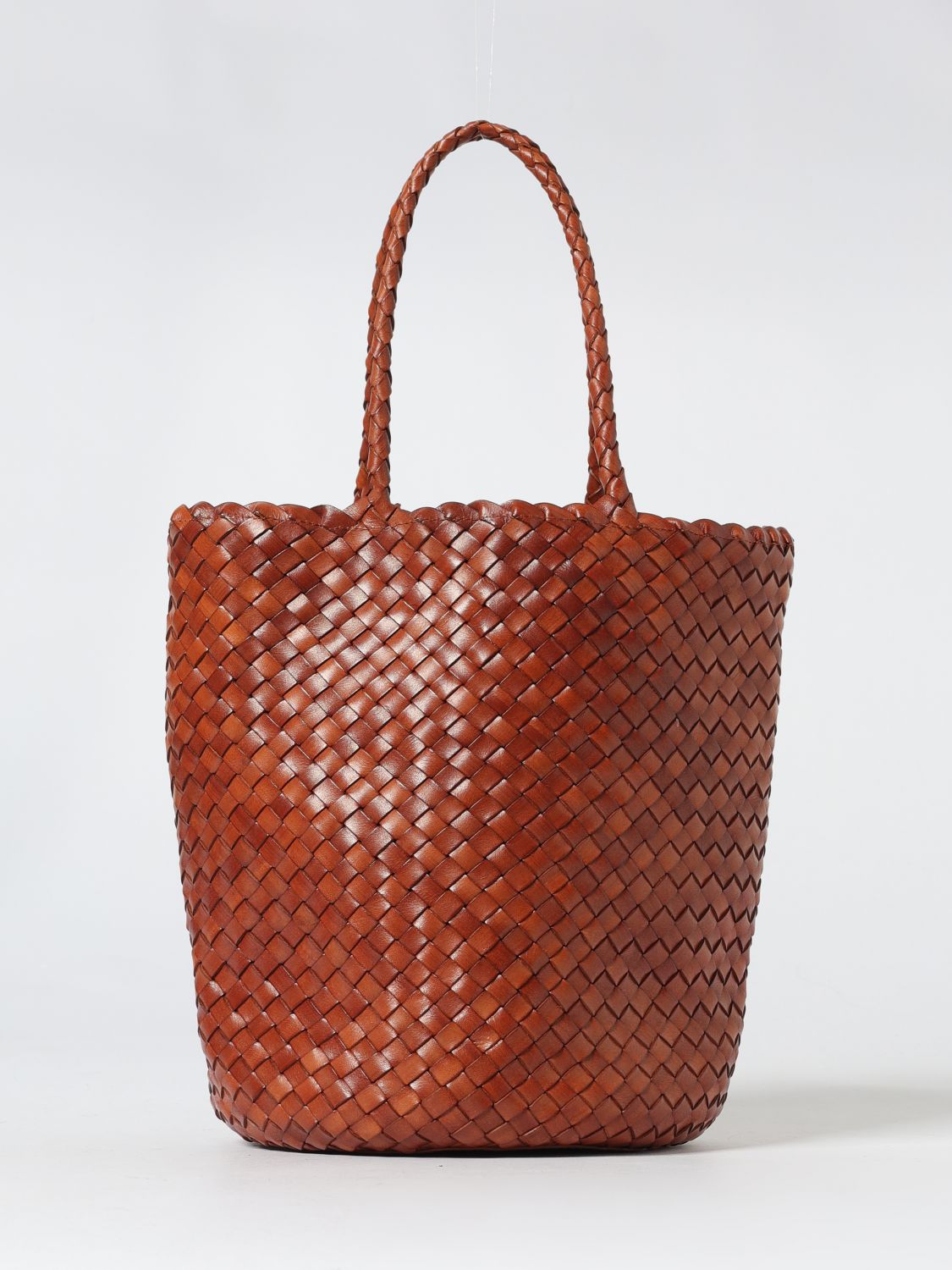 Dragon Diffusion Handbag  Woman Color Brown In Brown