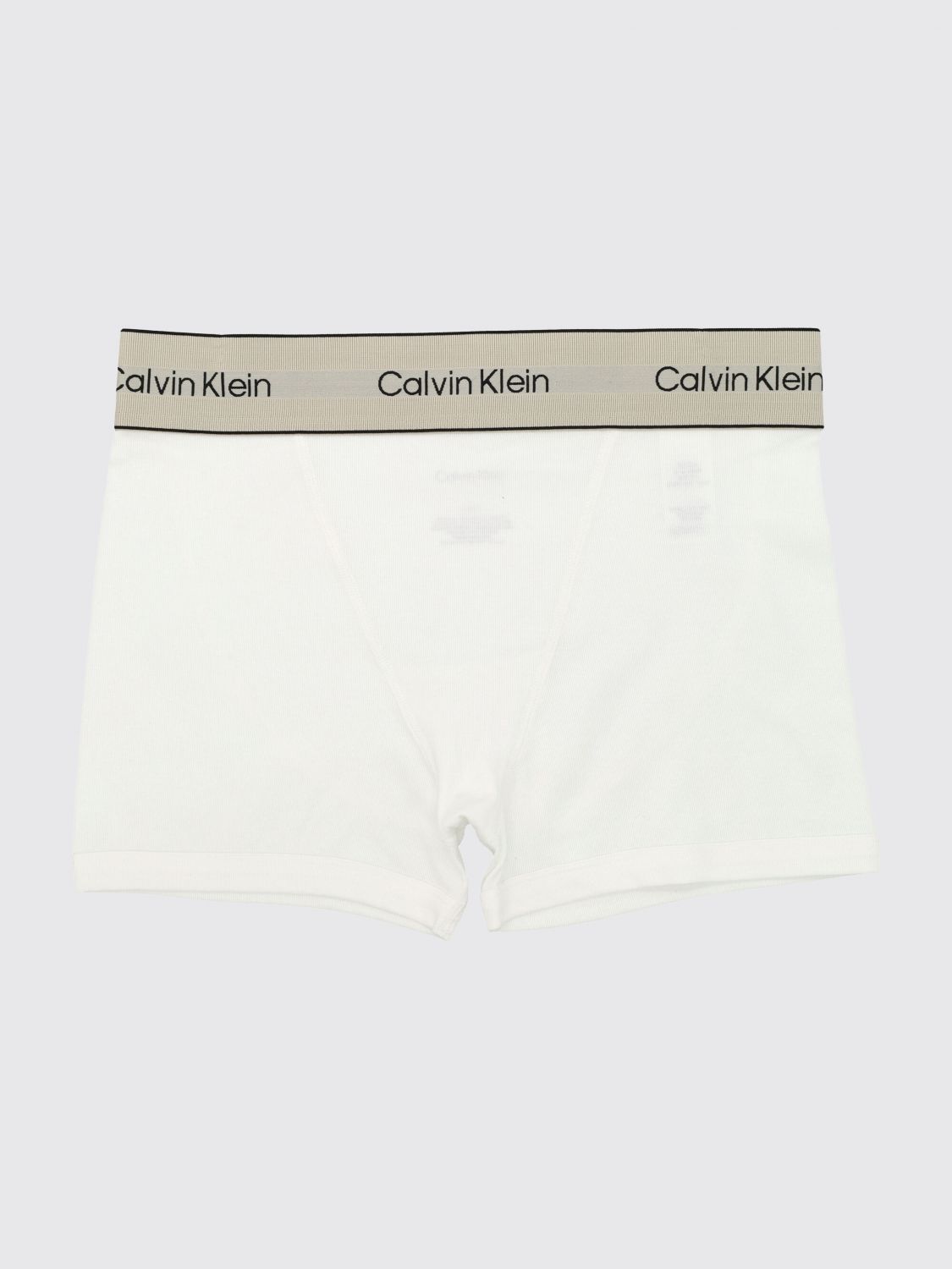 Calvin Klein Logo-detail Waistband Briefs In White