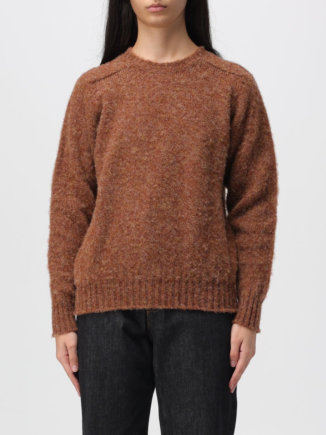 Howlin' Sweater Howlin Woman Color Brown In Brown