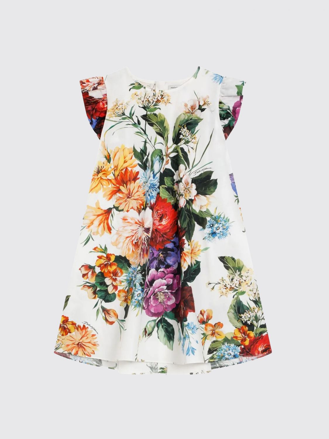 Dolce & Gabbana Flower-print Poplin Dress In Multi