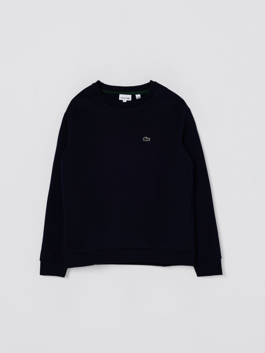 Lacoste Sweater  Kids Color Blue