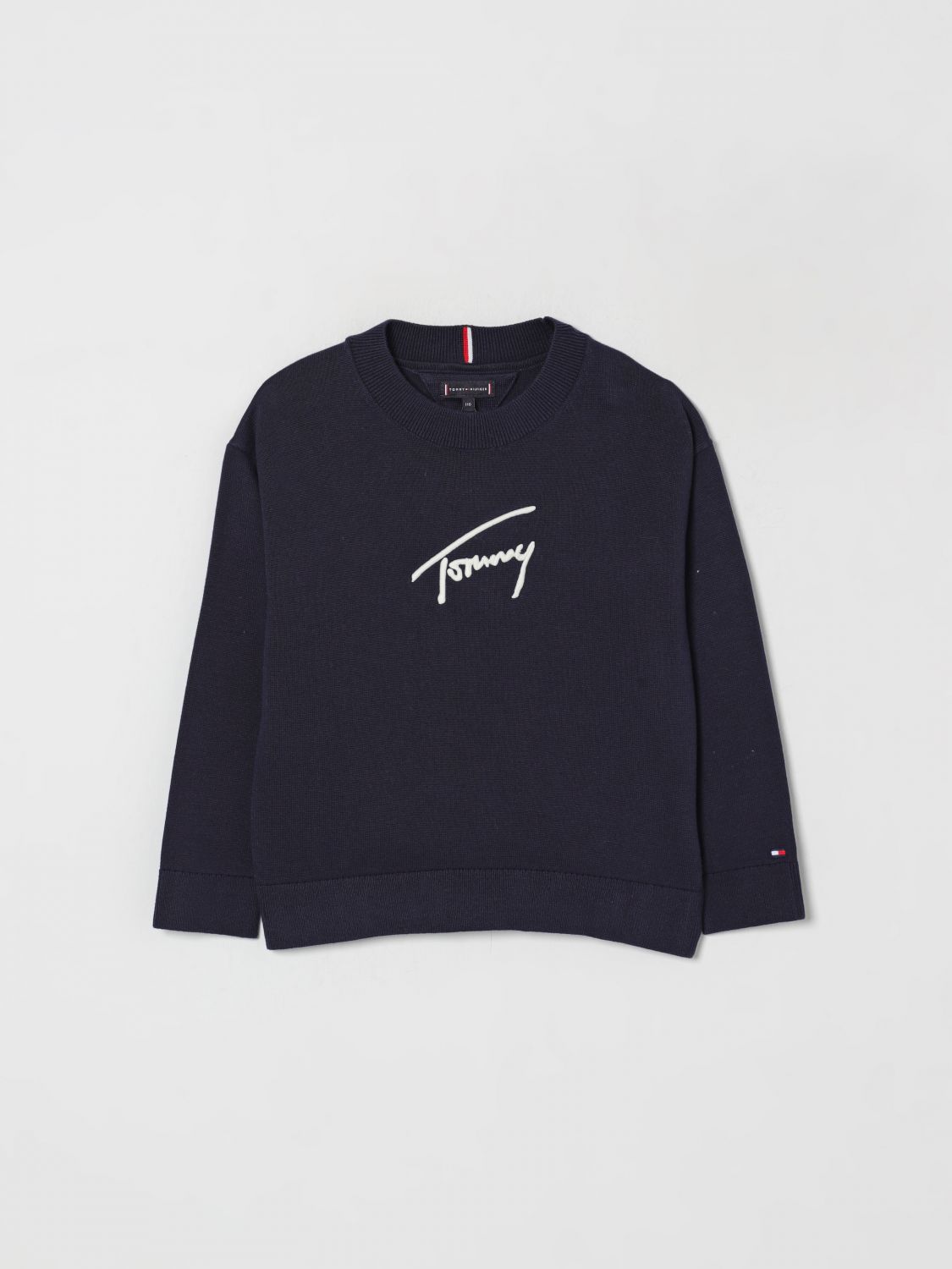 Tommy Hilfiger Sweater  Kids Color Blue