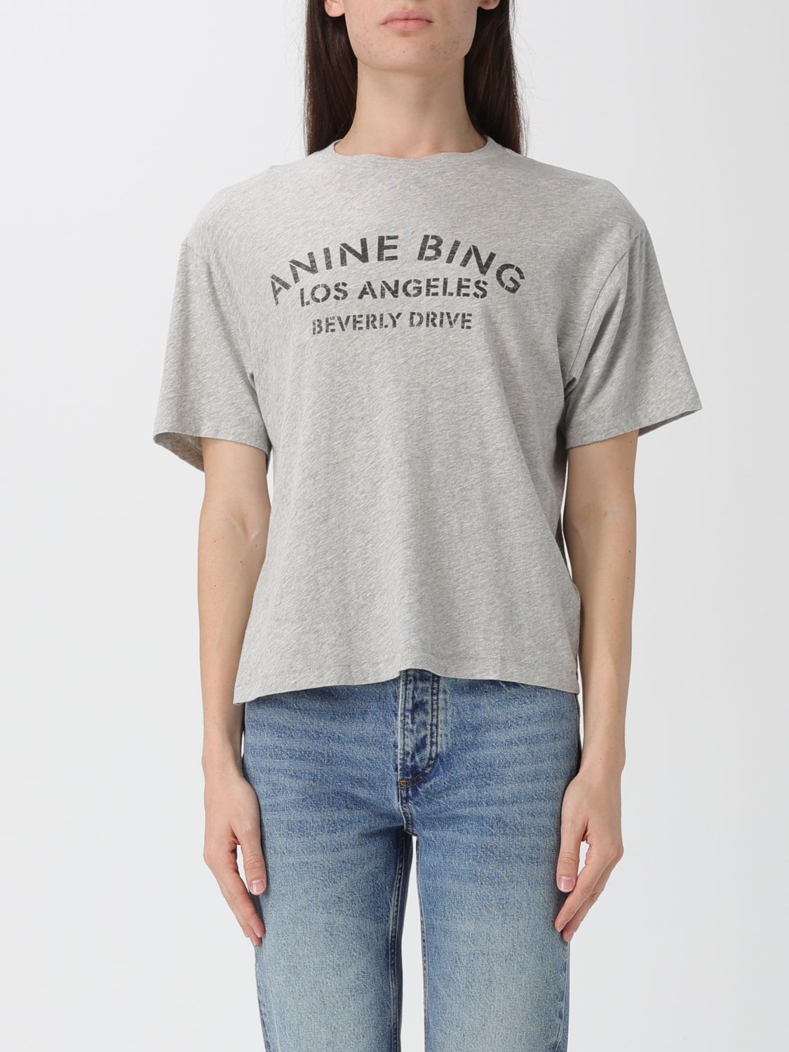 Anine Bing Graphic Print Crew Neck Short Sleeve Top In Gray