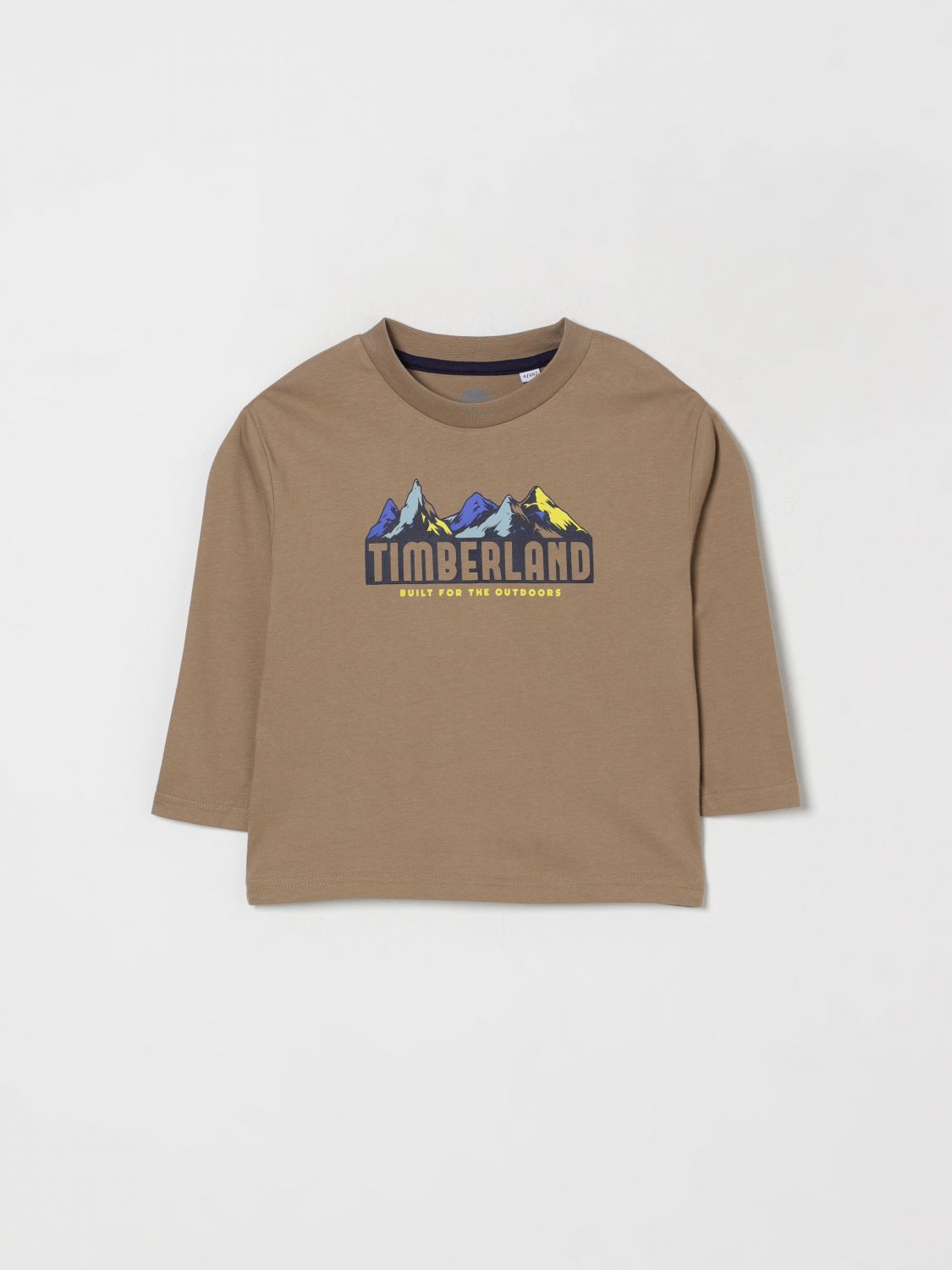 Timberland T-shirt  Kids Color Tobacco In Multi