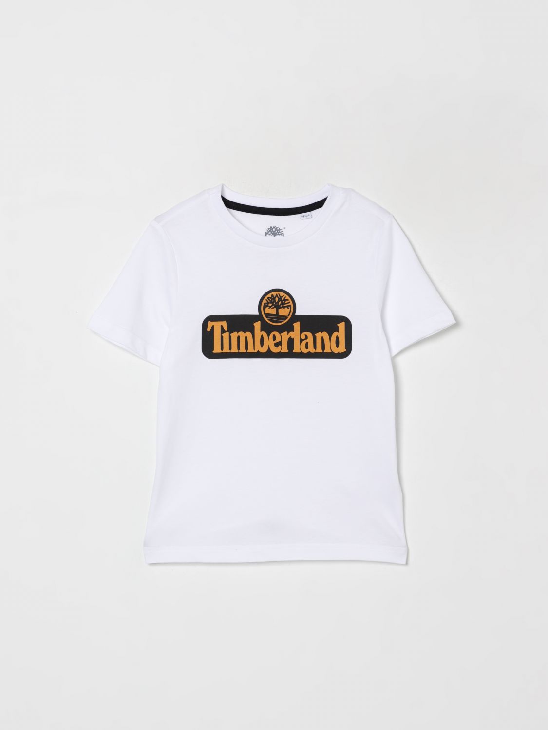 Timberland T-shirt  Kids Color White In Gray
