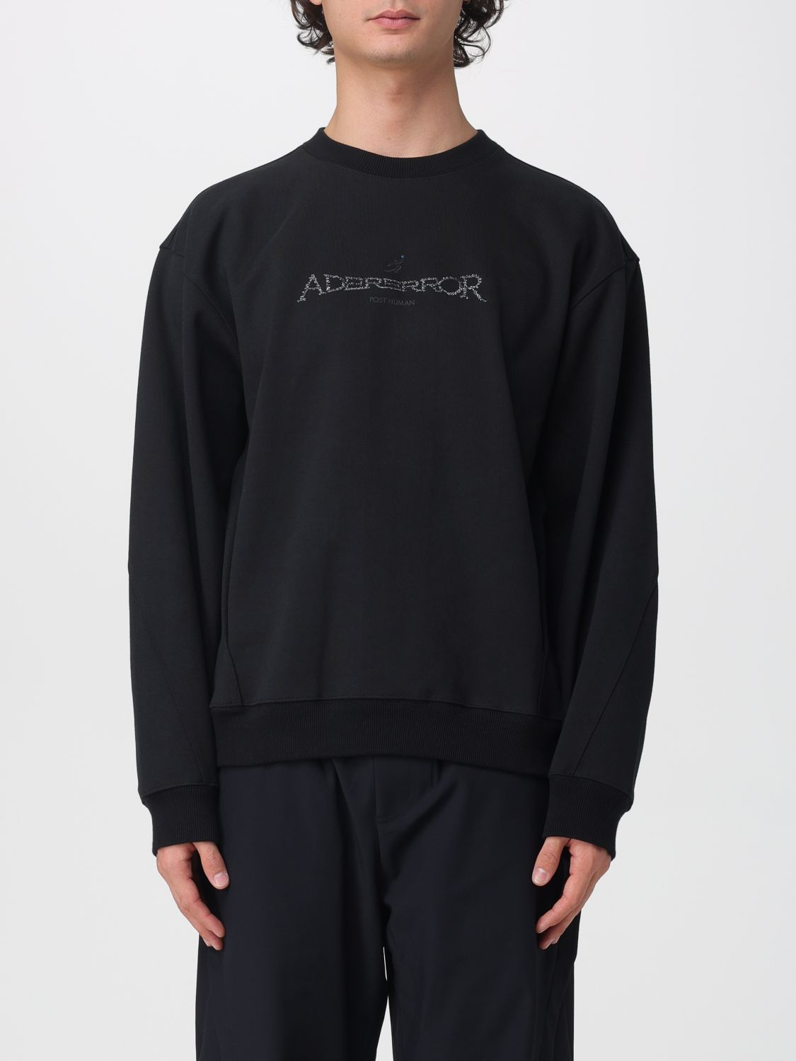 Ader Error Crewneck Sweatshirt With Logo In Black