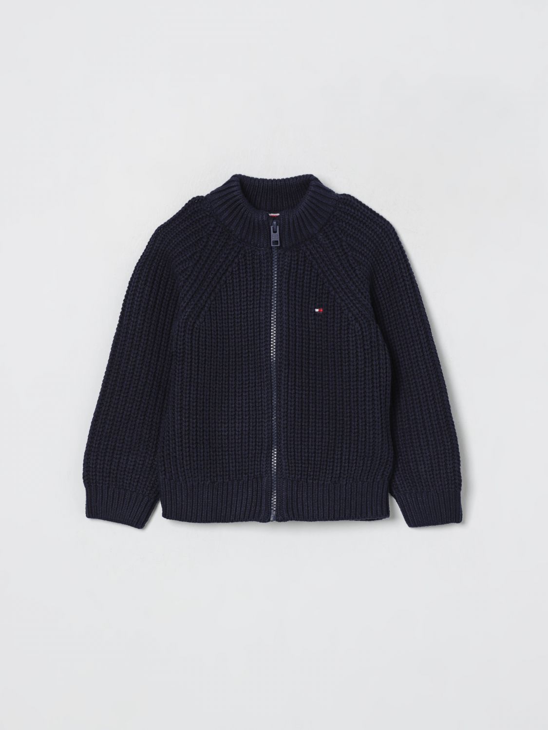 Tommy Hilfiger Sweater  Kids Color Blue In Blue