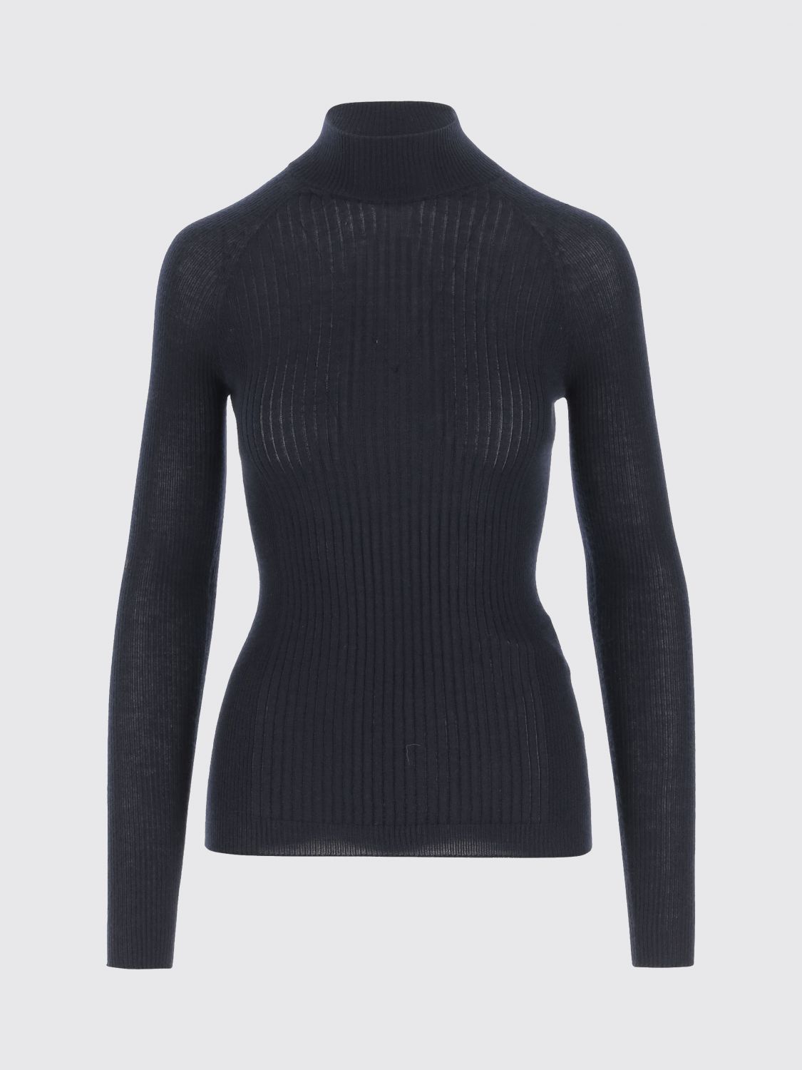 Sa Su Phi Ribbed High-neck Sweater In Multi
