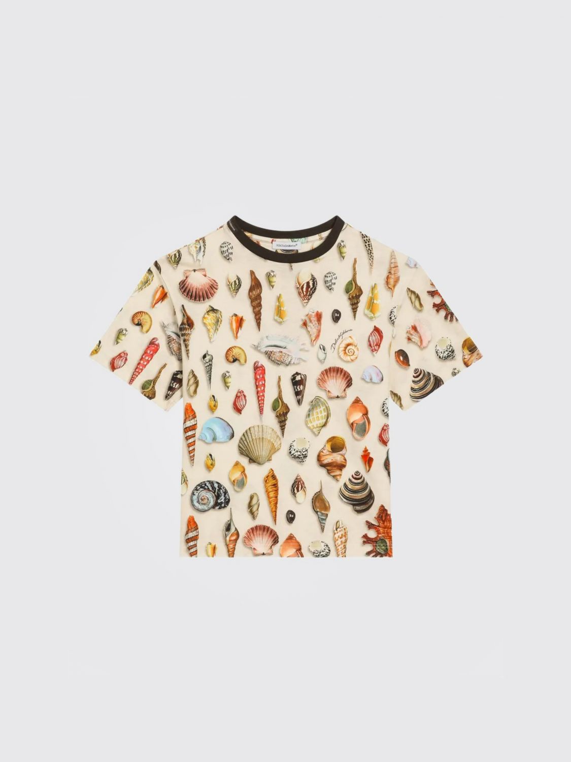 Dolce & Gabbana Shell-print T-shirt In Multi