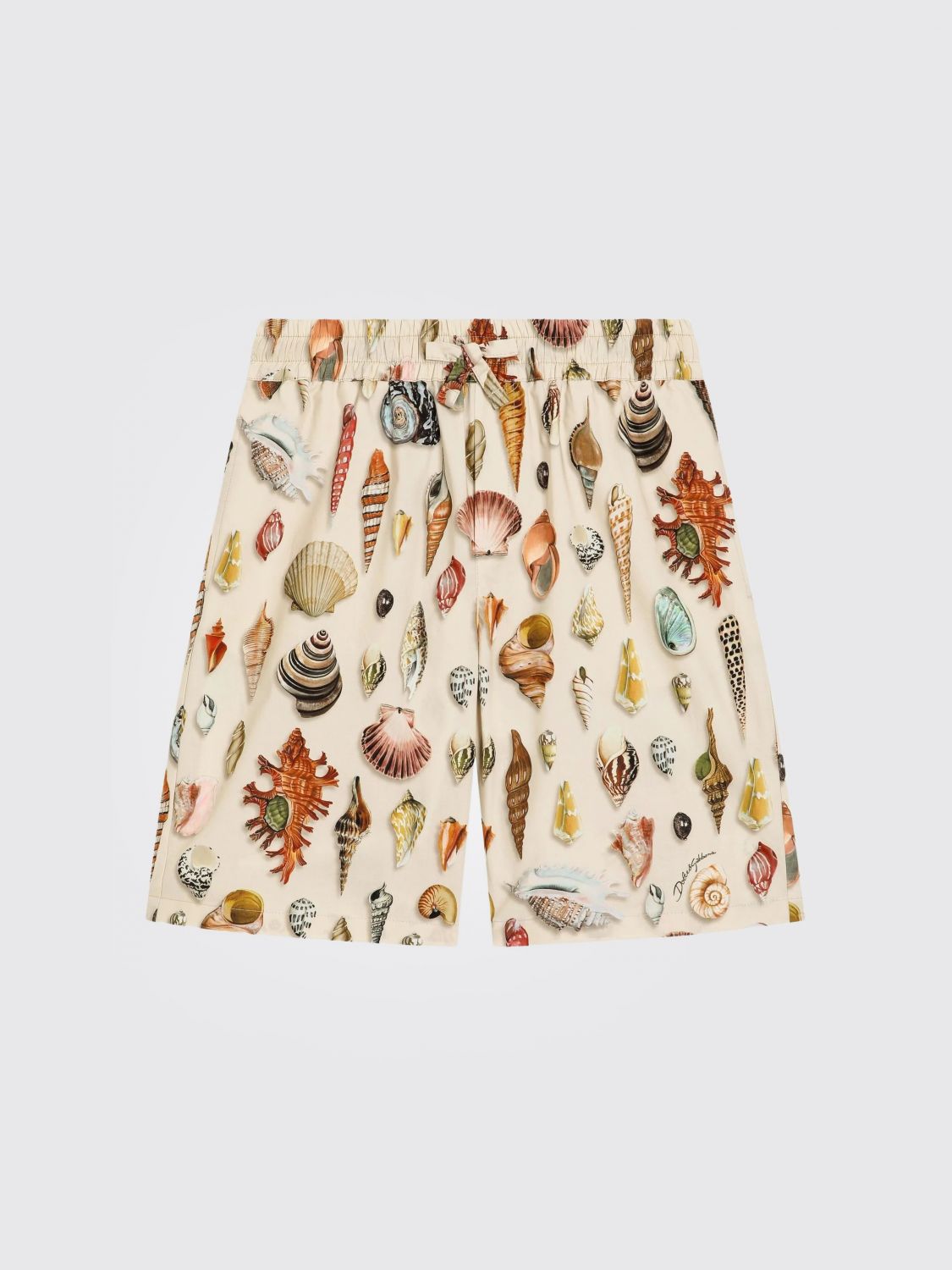 Dolce & Gabbana Seashell Drawstring Shorts In Brown