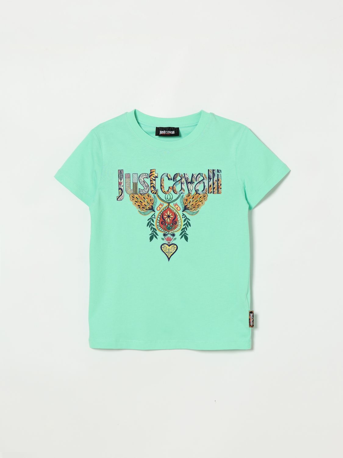 Just Cavalli T-shirt  Kids Color Green