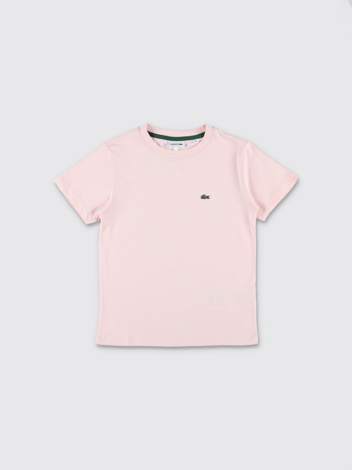 LACOSTE T-shirt in cotone con mini logo