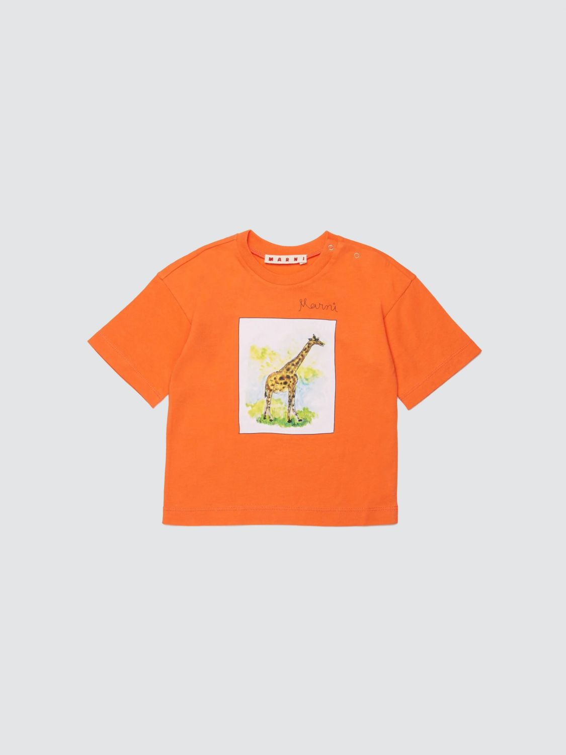 MARNI T-shirt in cotone stampata