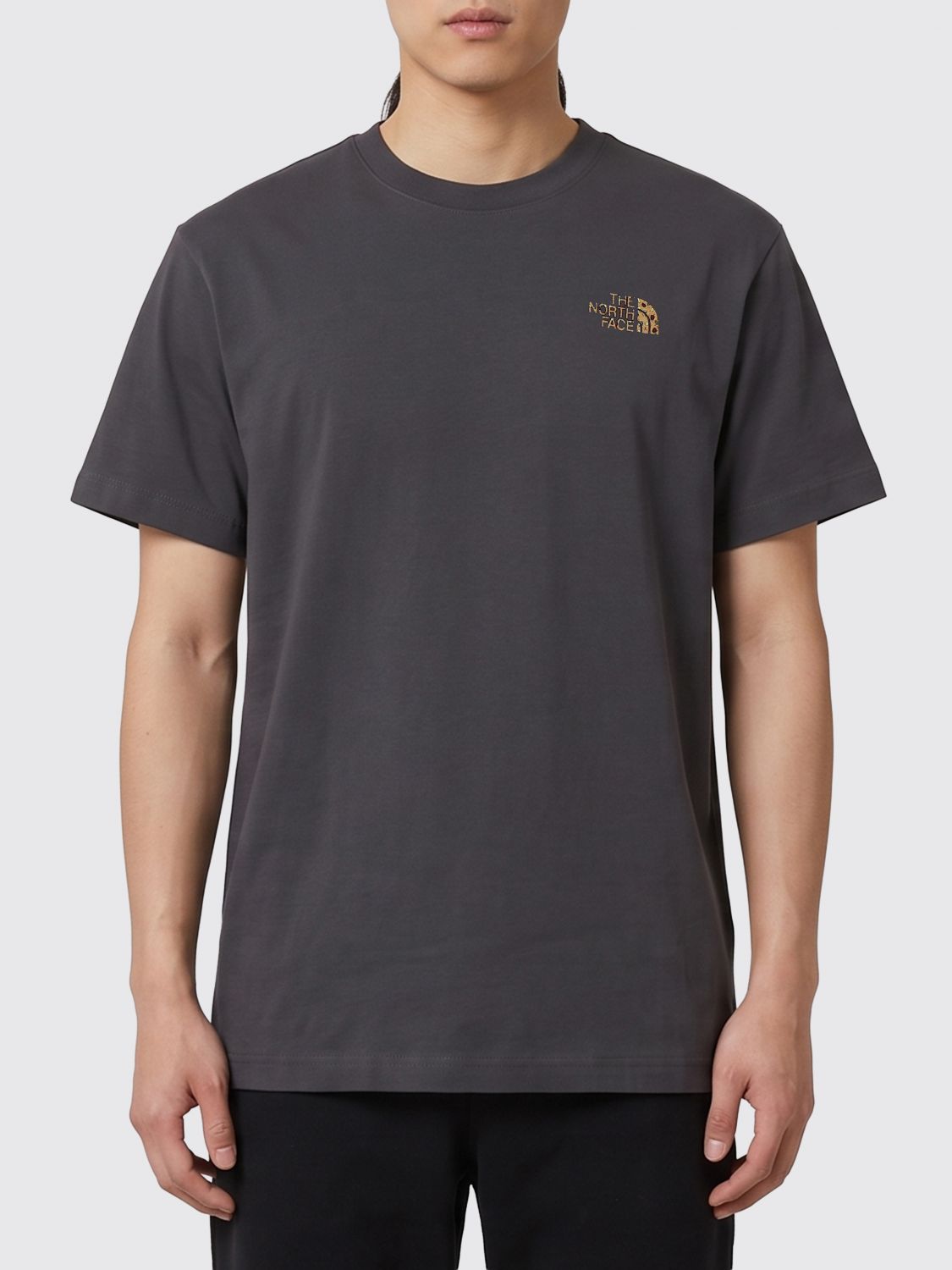 THE NORTH FACE Relaxed Fit T-shirt in Cotton