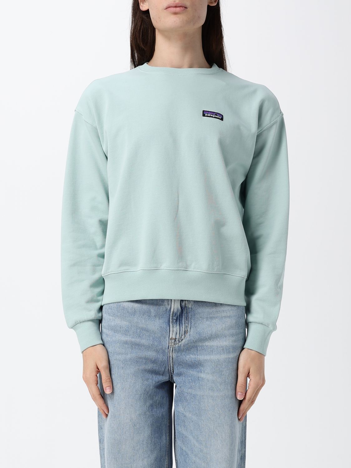 Patagonia Daily Crew Logo-patch Sweatshirt In Blue