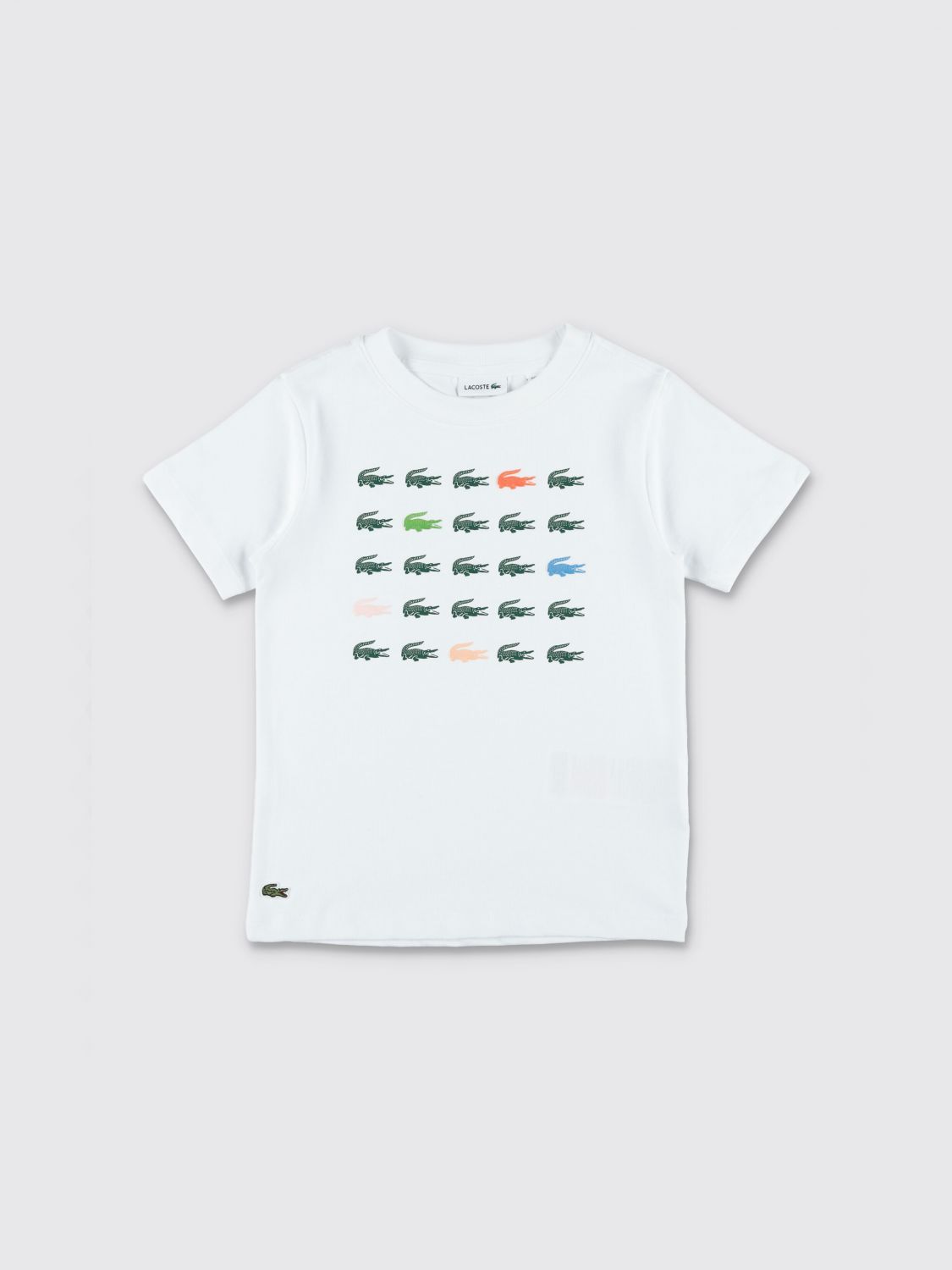 LACOSTE T-shirt in cotone con stampa logo