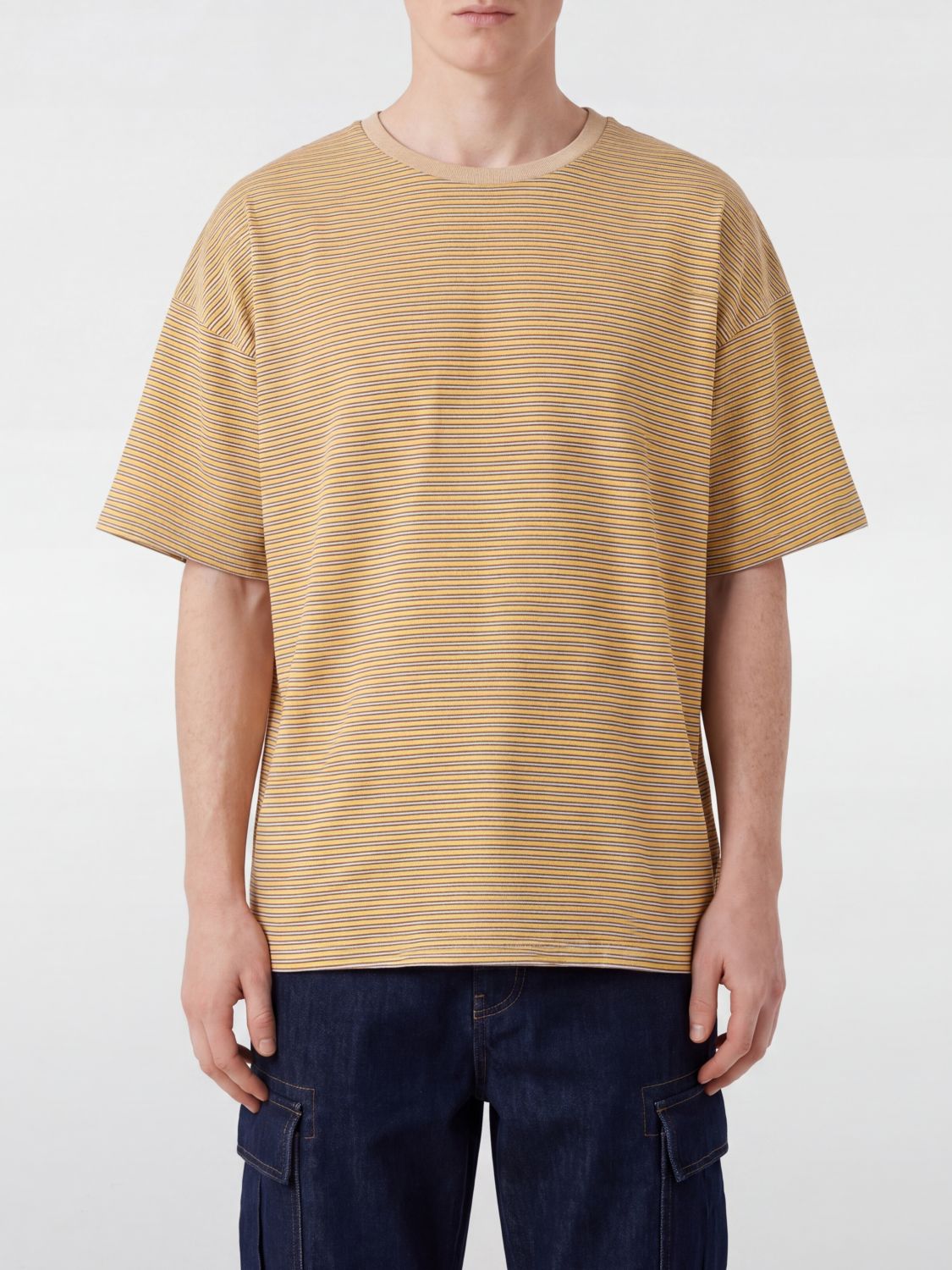 Howlin Striped Relaxed Fit T-Shirt in Cotton with Crew Neck