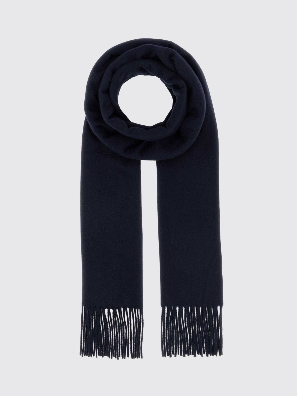 MAX MARA Scarf Woman color Blue