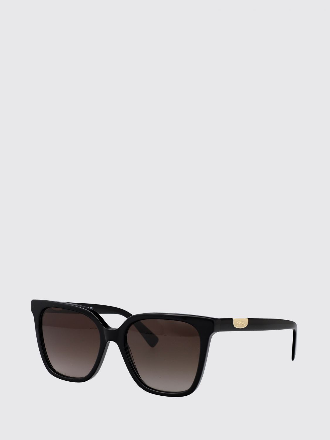 LONGCHAMP Butterfly Cat-Eye Acetate Sunglasses with Metal Logo　LONGCHAMP バタフライ キャットアイ アセテート サングラス メタルロゴ付き LONGCHAMP