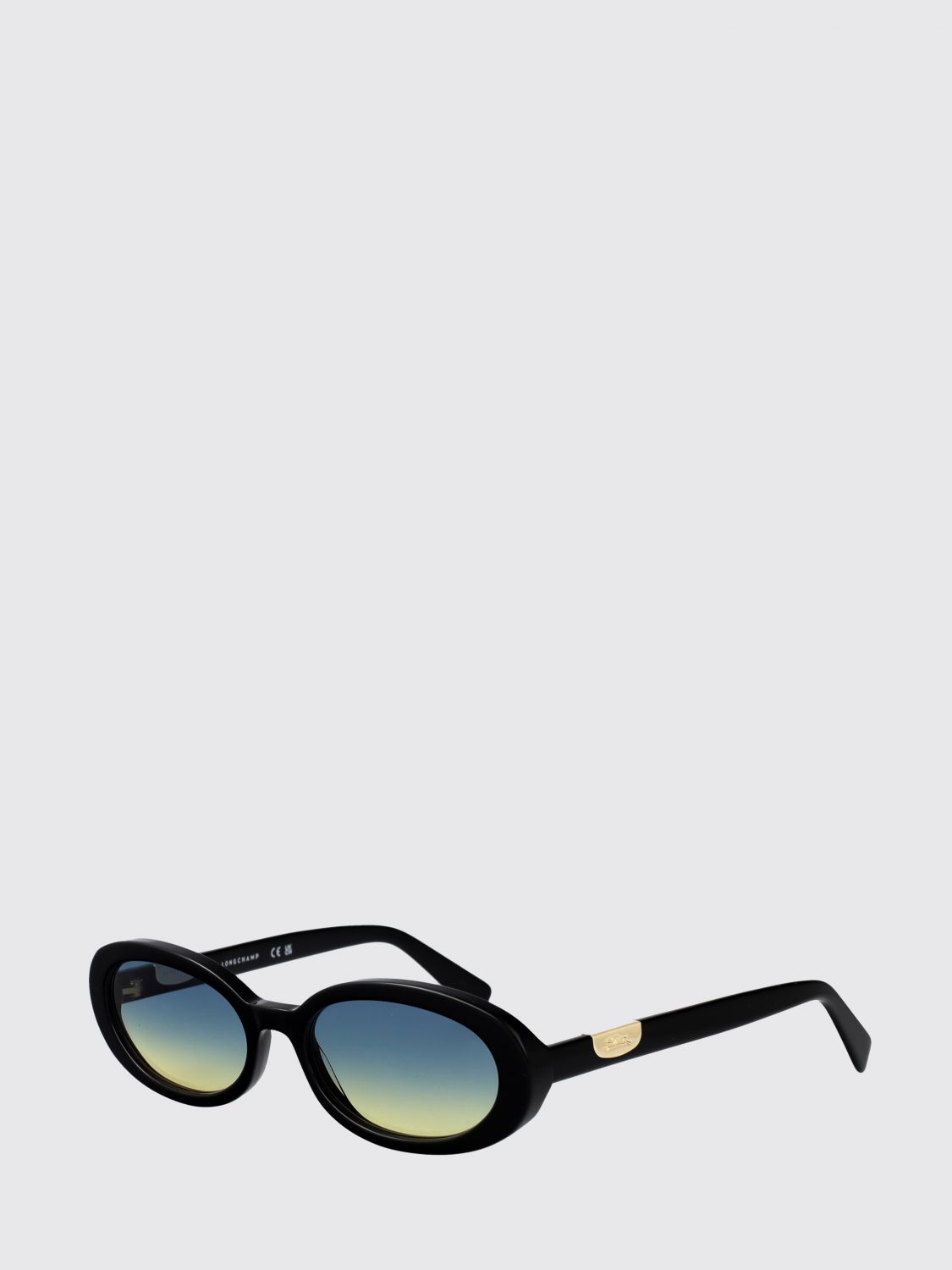 LONGCHAMP Oval Acetate Sunglasses with Monogram Logo and Coloured Lenses　LONGCHAMP オーバル アセテート サングラス、モノグラム ロゴ、カラーレンズ付き LONGCHAMP