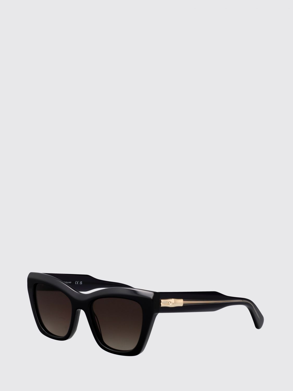 LONGCHAMP Rectangular Cat-Eye Sunglasses in Acetate　LONGCHAMP レクタンギュラー キャットアイ サングラス (アセテート) LONGCHAMP