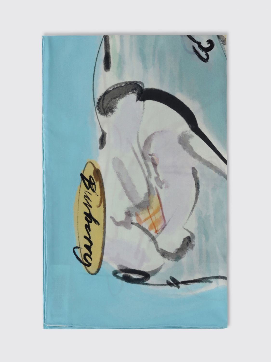 BURBERRY Scarf Woman color Sky