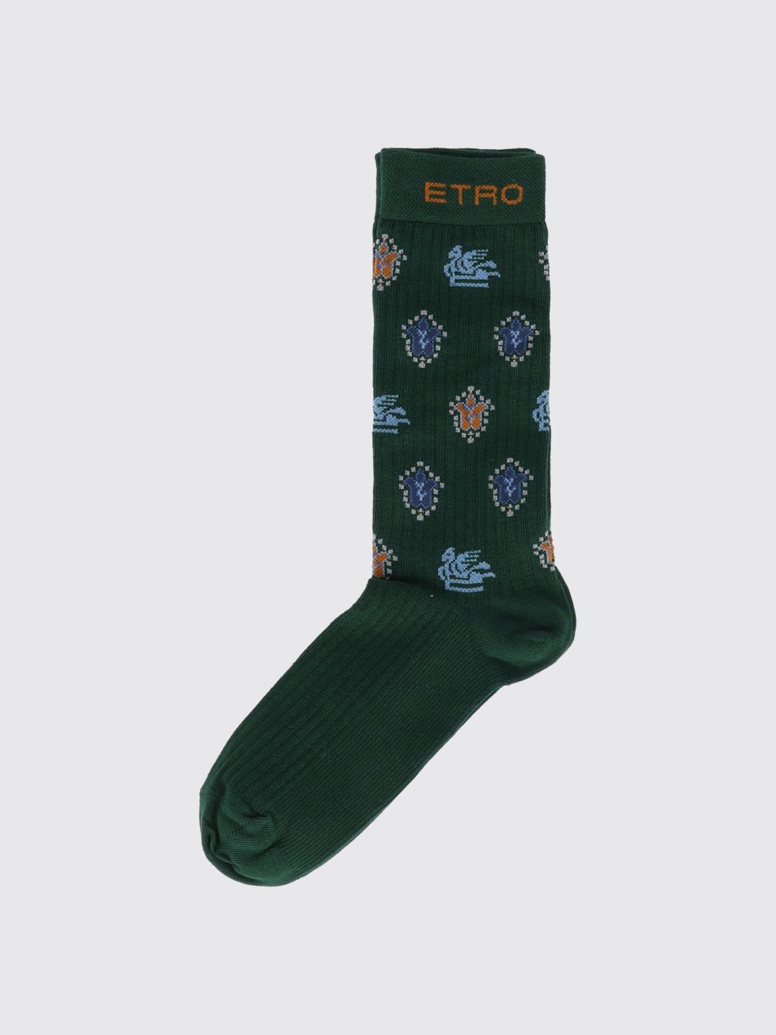 ETRO Socks Kids color Green