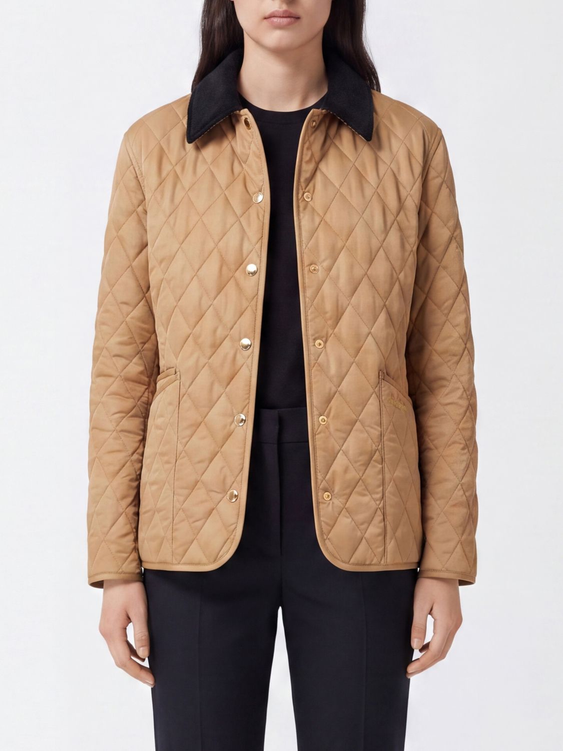 Burberry Short Quilted Waterproof Nylon Jacket with Velvet Collar