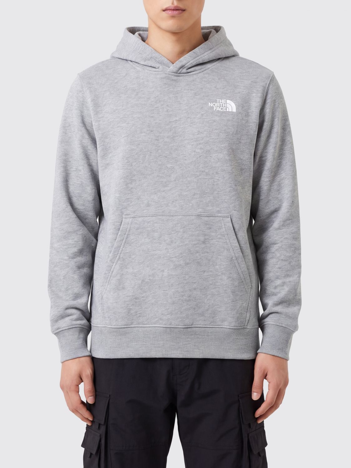 THE NORTH FACE Felpa Uomo colore Grigio