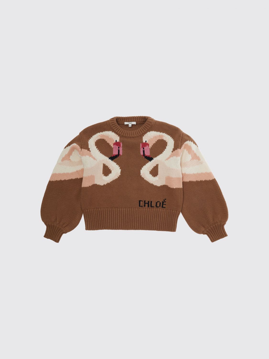 CHLOÉ Sweater Kids color Brown