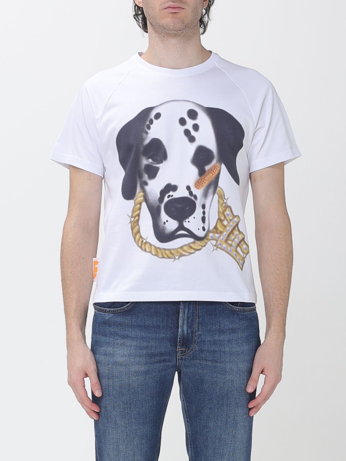PDF T-Shirt Uomo colore Bianco