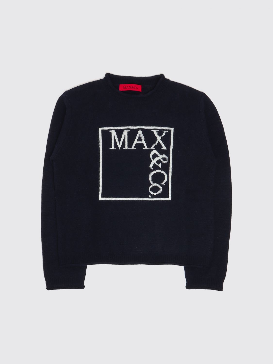 Max & Co. Kid Sweater Kids Color Blue