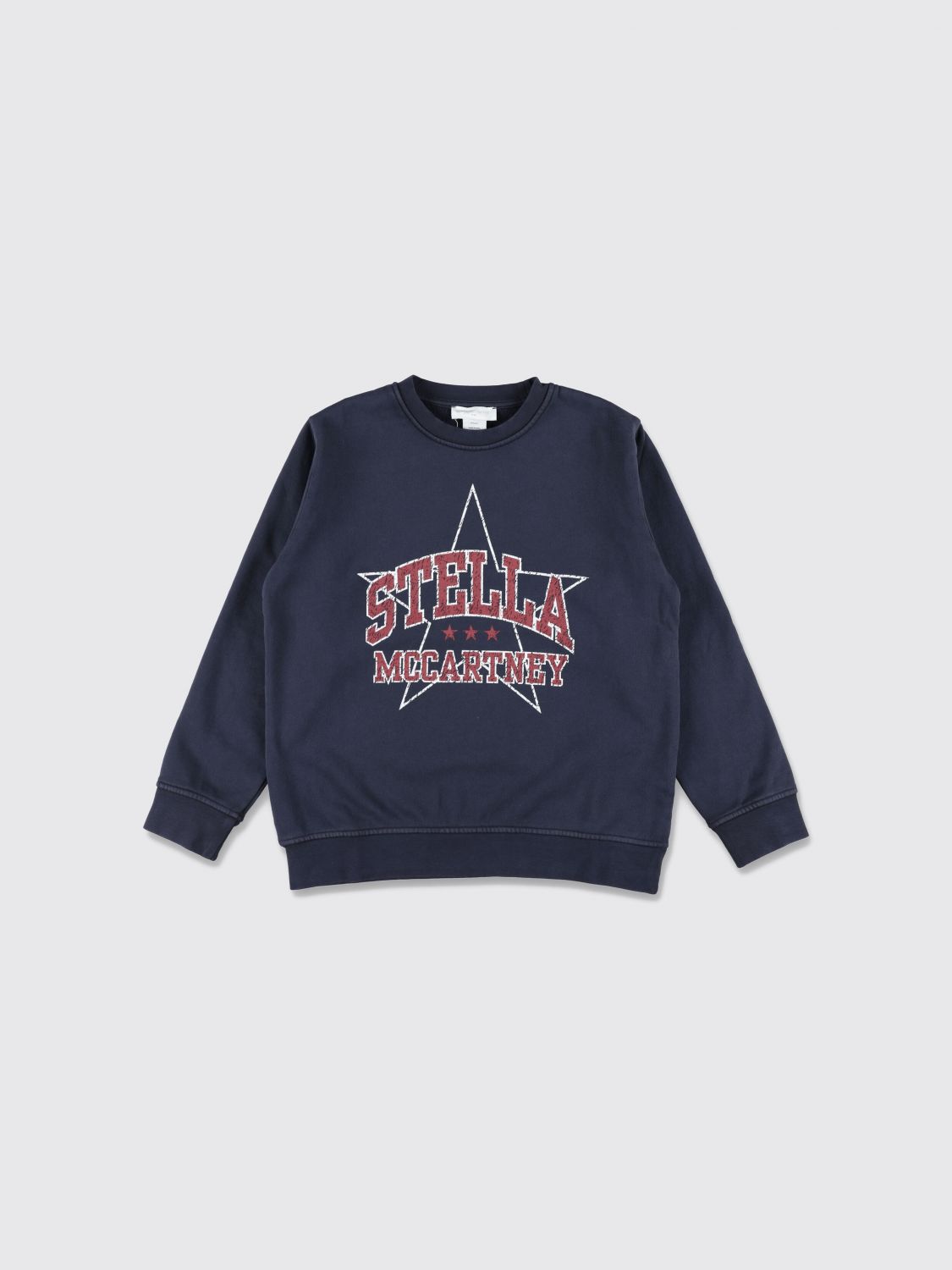 STELLA MCCARTNEY KIDS Sweater Kids color Blue